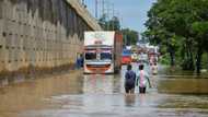 Floods cripple Indian tech hub Bangalore