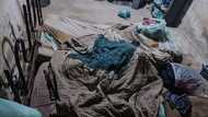 Woman, children freed in Brazil after 17-year kidnap ordeal