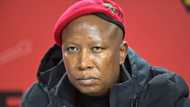 EFF's Julius Malema dedicates Women's Day to Ramaphosa's Phala Phala domestic worker who was allegedly beaten