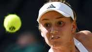 Rybakina battles back against Jabeur to win Wimbledon title