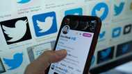 In AI tussle, Twitter restricts number of posts users can read