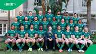 A Pick n Pay milktart with Springbok emblem went viral on Reddit