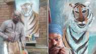 Sheba the tiger memorialised by Rasta the painter in portrait, Mzansi kindly asks that someone steal his brushes