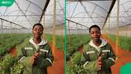 “Beautiful stuff”: Mzansi cheers for 20-year-old managing 10-hectare farm that supplies Woolworths