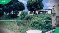 Mzomusha shootout: Two notorious suspects shot dead during operation by KwaZulu-Natal police