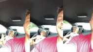 Toddler learning Zulu from dad jams out to favourite SA song