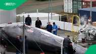 Iceland kills first whales in years as controversial hunting season returns