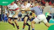 Donald Dewald Naude dies at 31: Former Bulls and Tuks rugby player remembered after brain cancer battle