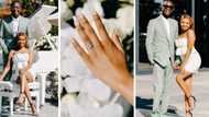 TikTok video of woman’s epic engagement proposal in Cape Town Winelands leaves Mzansi shook: "Like a movie"