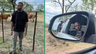 Eligible bachelor with cows in TikTok video craves a wife, Mzansi ladies ready for handsome man