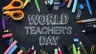 Appreciative quotes, wishes and, messages to share on Teachers' Day