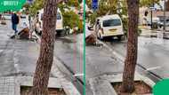 "Why plant them on the road?": SA stunned as viral clip shows tree on top of taxi after Cape storms