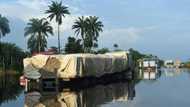 Aid slowly reaches Nigerian flood victims