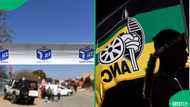 ANC loses court bid to contest 6 municipalities in November elections