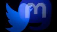 Musk delays Twitter relaunch after fake account frenzy