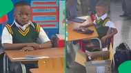 "My nephew is such a meme": Grade 1 learner's school faces have SA rolling