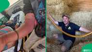 "He killed it": Vanrhynsdorp man gets bitten by a puff adder while collecting cans for an income