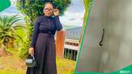 "It's not witchcraft": Snake slithers into the family house wall, SA astonished