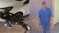 "Someone's dog ate my car": Woman shares snap of ripped up vehicle, Mzansi offers advice