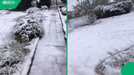 “Are you in the US?”: Northern Cape TikTok video of family’s snow-covered yard stuns Mzansi