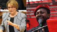 Mbuyiseni Ndlozi praises Parliament fire, called out by Helen Zille for not helping to problem solve