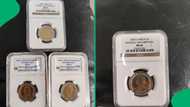 "Sell more to collectors": Owner seeks professional valuation of MS66 2008 Mandela R5 coins