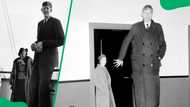 Robert Wadlow's cause of death explained: What really happened?