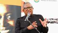 ANC SG Fikile Mbalula says Cabinet reshuffle was well-timed, SA disagrees: “This one does not care”