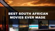 Top 20 best South African movies ever made: Have you watched them all?