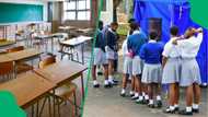 DA calls for probe into food poisoning of 74 West Rand female pupils at camp