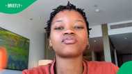 "They bite": South African woman in Australia complains about swarms of flies in TikTok video