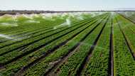 California's desert farmers defend their river rights