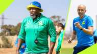 Miguel Cardoso enjoys positive flow of energy from Mamelodi Sundowns coaching staff