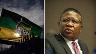 Fikile Mbalula says ANC will emerge stronger than before party's national elective conference