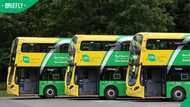 "Thanks for sharing": Mzansi bus drivers in demand in Ireland as Dublin Bus hires nearly 100 locals