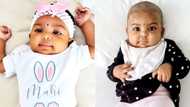 8 Month old Baby Mahi needs a life saving bone marrow transplant, family searching for a donor match