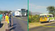 Families rally for safer roads in Limpopo after fatal accident claims 8 lives