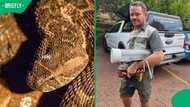 "It's very traumatic": Snake handler shares update on 9-year-old puff adder bite survivor