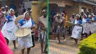 Cross-cultural Tsonga and Zulu wedding instils pride in Mzansi TikTok users