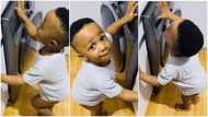 Toddler impresses with skills: Makes music with washing machine