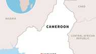 Landslide in Cameroon kills at least 11