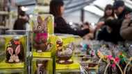 Swiss chocolatiers bank on the Easter bunny as cocoa costs soar