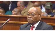 "Zuma is a gangster": SA reacts to ConCourt's ruling for ex president