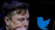 Elon Musk considers putting Twitter behind a paywall after announcing blue checkmark pay plan