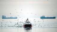 EU looks to boost boat tracking to fight overfishing