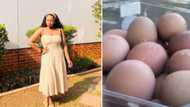 Mzansi woman raises chickens to beat egg shortage, shares story on TikTok