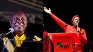 Malema calls Ramaphosa the devil and urges them to consider this on 1 November