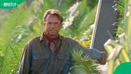 Tragedy as 'Jurassic Park' star Sam Neill dies suddenly at 78, months after beating cancer