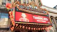 Streaming films more diverse than cinematic releases: study