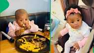 Toddler's epic lunch date with chicken and chips goes viral on TikTok, falls asleep after big meal